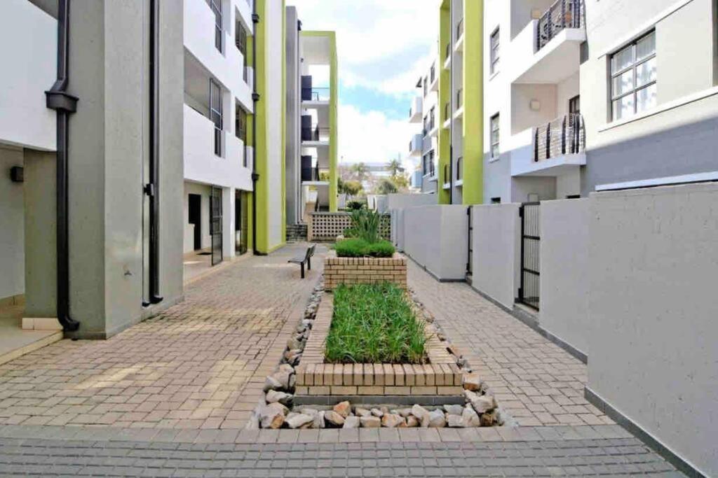 Exquisite Comfortable And Affordable Elegant Place Apartment *