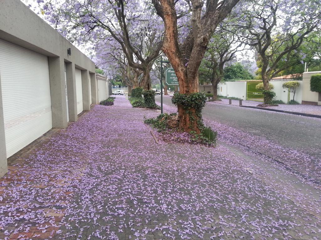 Rosebank By Claires 2* Johannesburg