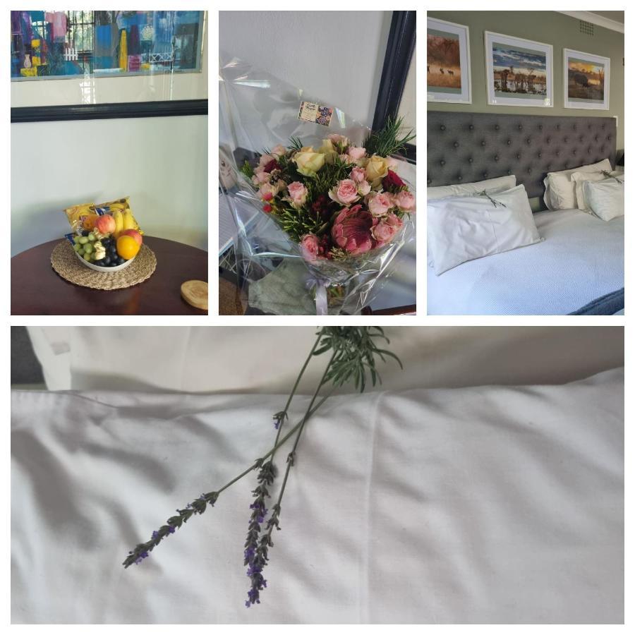 Bio-pointment Guest Bed & Breakfast *