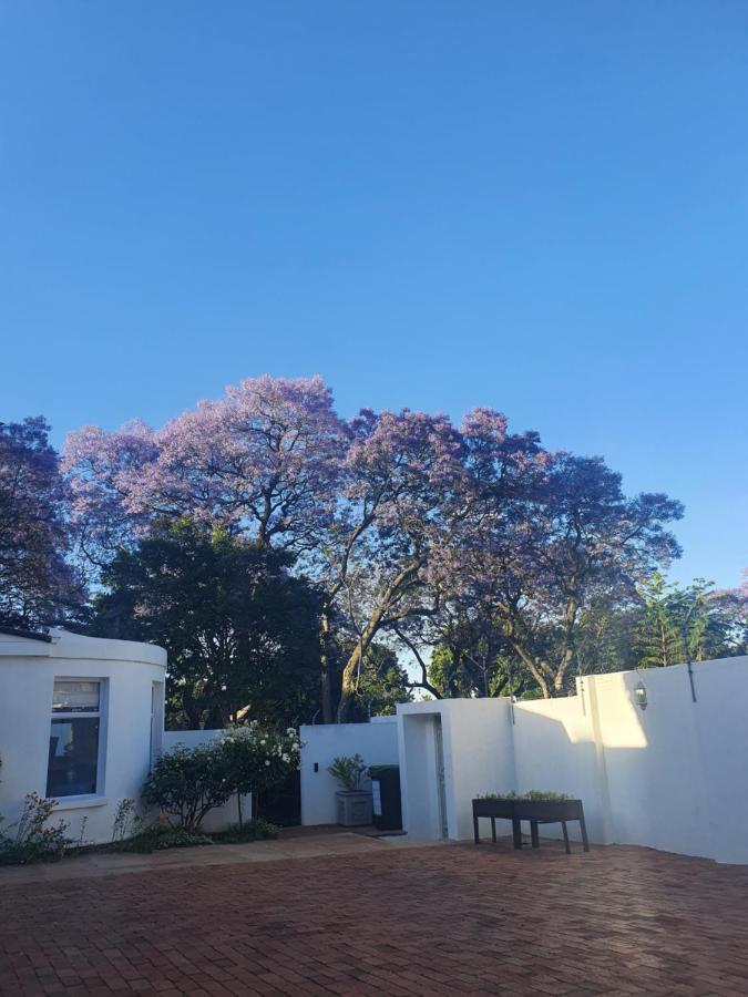 Maison Jacaranda Nhà khách Johannesburg