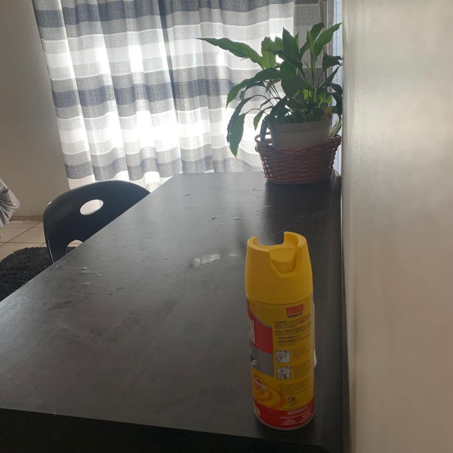 Apartment Tintswalo Nests