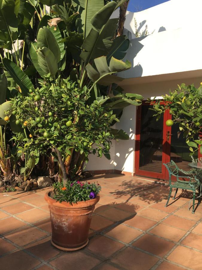 Guest house The Oasis Boutique & Residency Johannesburg