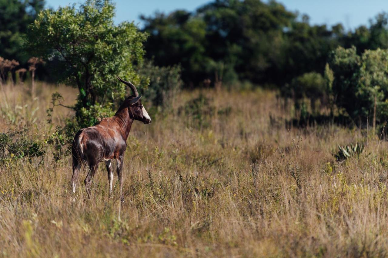 Thaba Eco 4* Johannesburg
