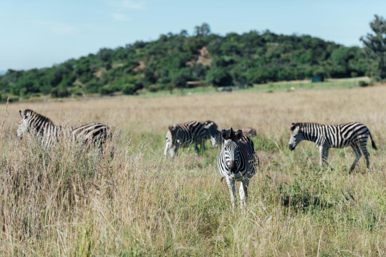 Hotel Thaba Eco 4*