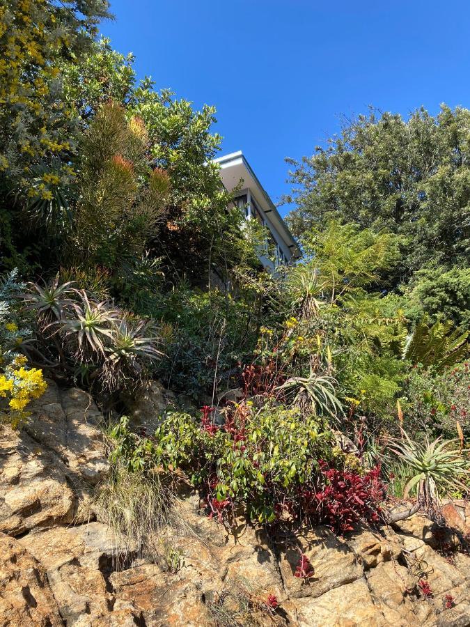 Top Of The Mountain +Pool Northcliff Joburg Johannesburg