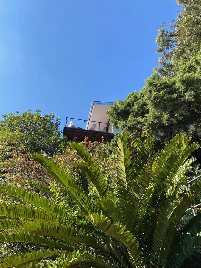 Apartment Top Of The Mountain +Pool Northcliff Joburg