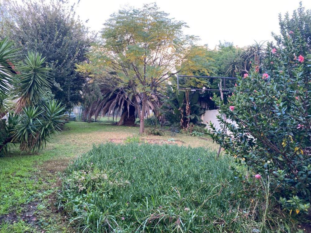 Terrace House Rivonia Johannesburg