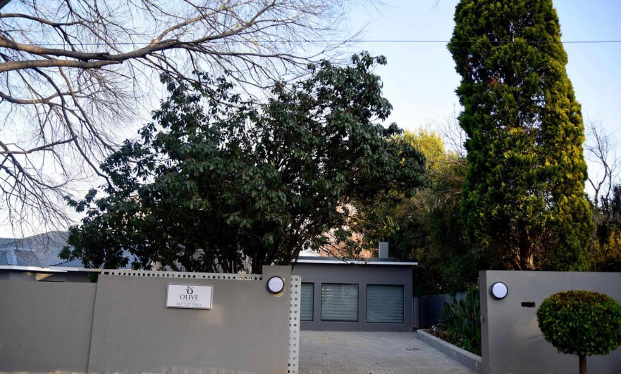 Guest house Olive Boutique And
