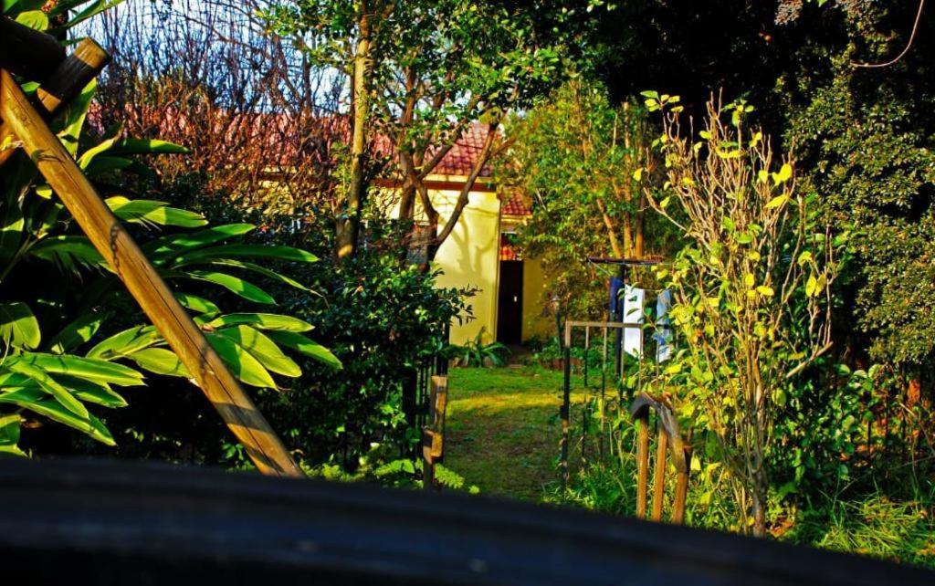 Nhà khách 76 Darwin Johannesburg