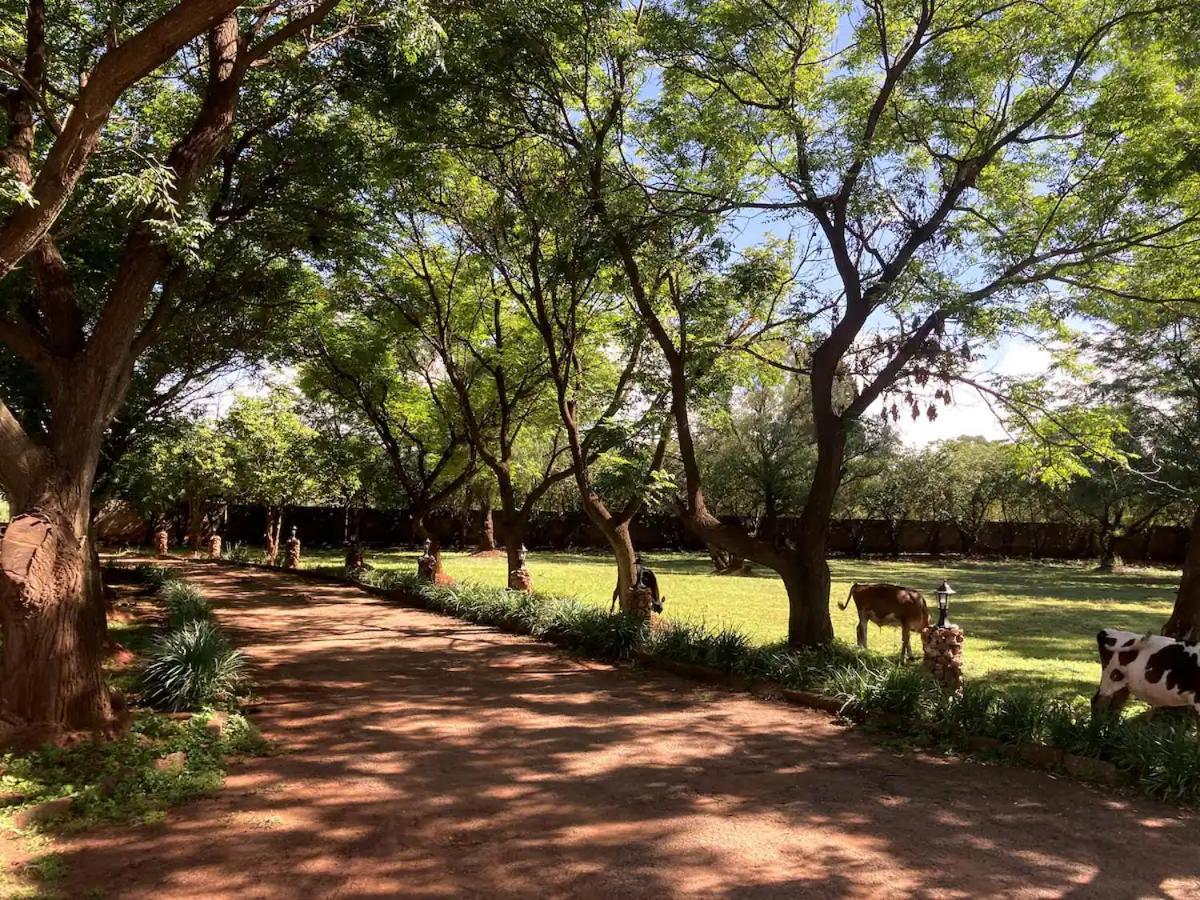 Haizum's Equestrian Centre Country house Johannesburg