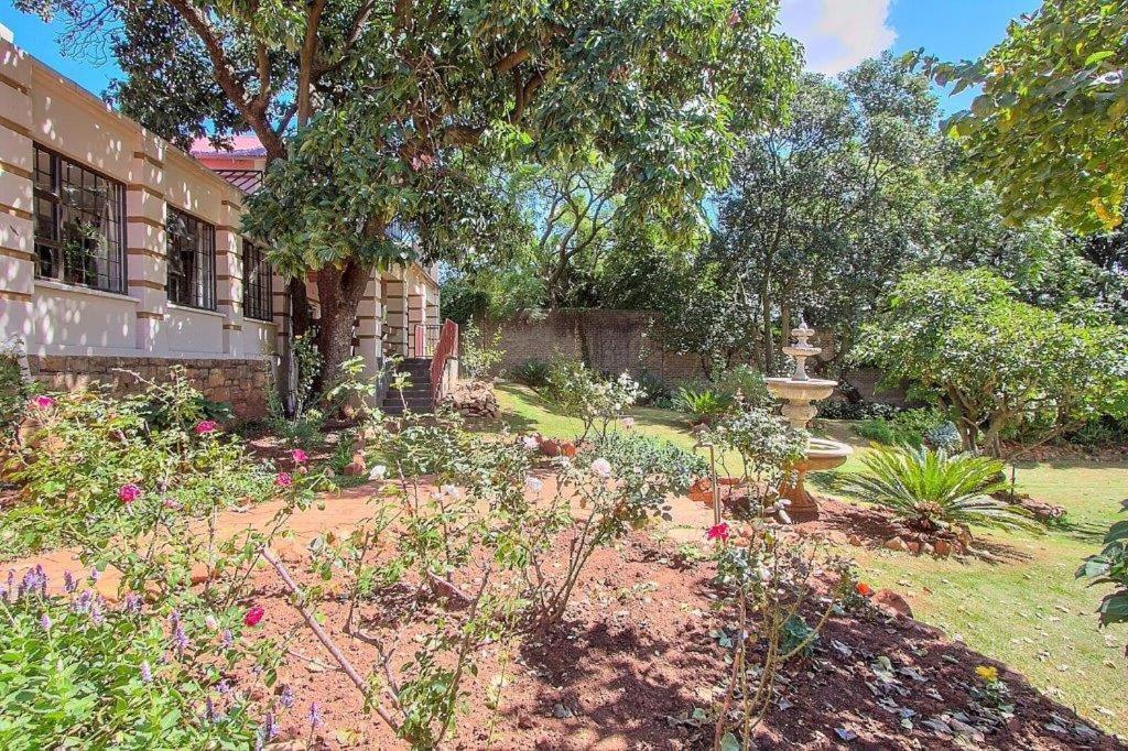 Bed & Breakfast The Owl Boutique Johannesburg