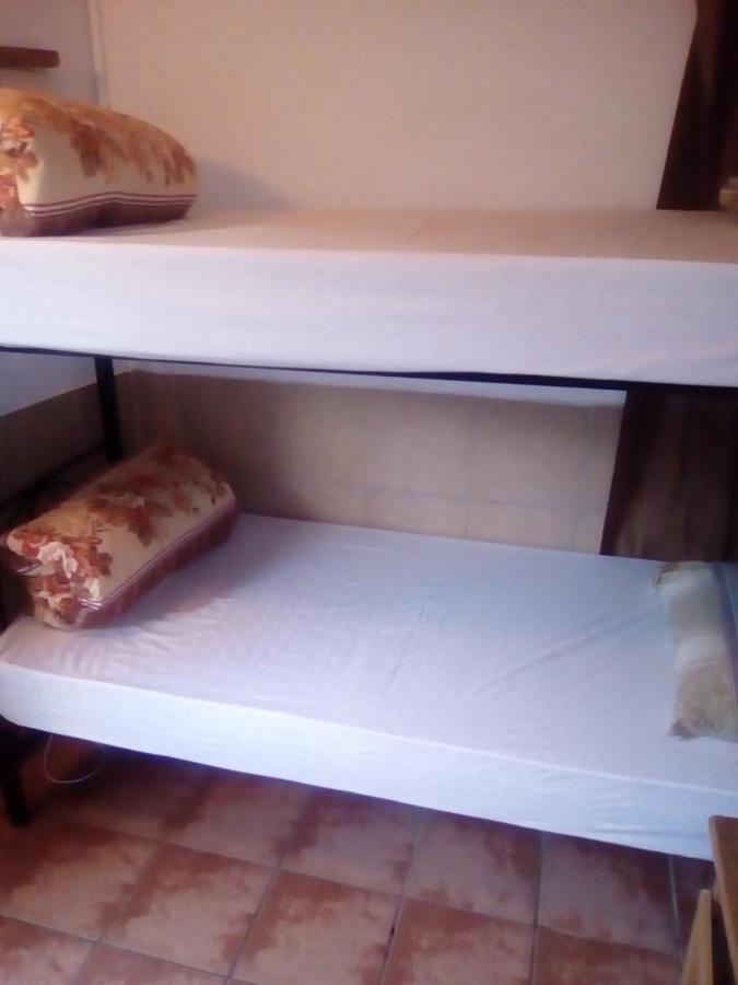 Hostel Accoustix Backpackers