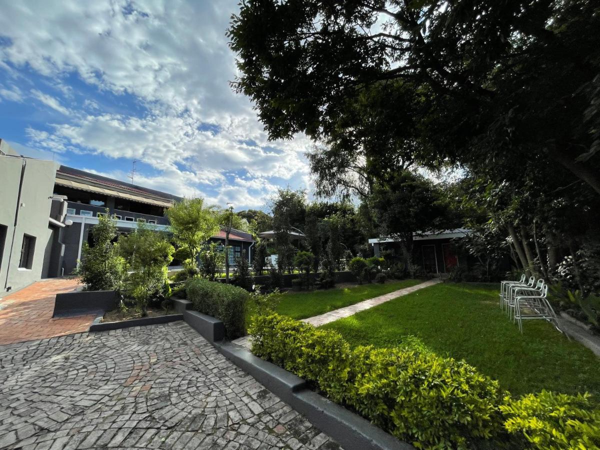 lều Marion Johannesburg