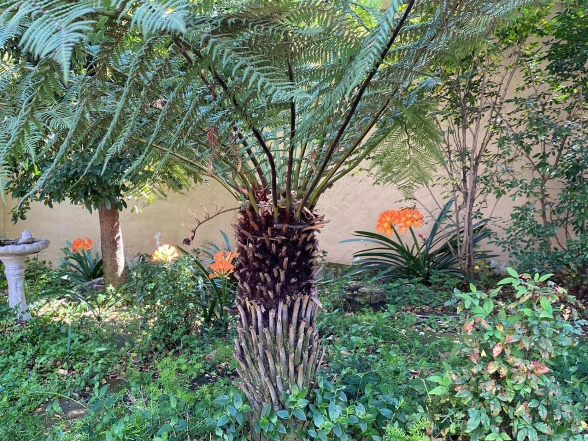 Tuscan Rose Bed & Breakfast Johannesburg