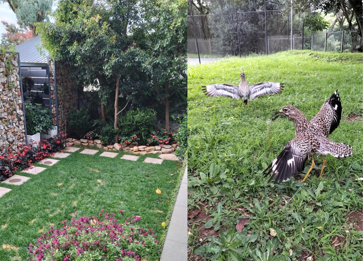Hadeda Hall Bed & Breakfast Johannesburg