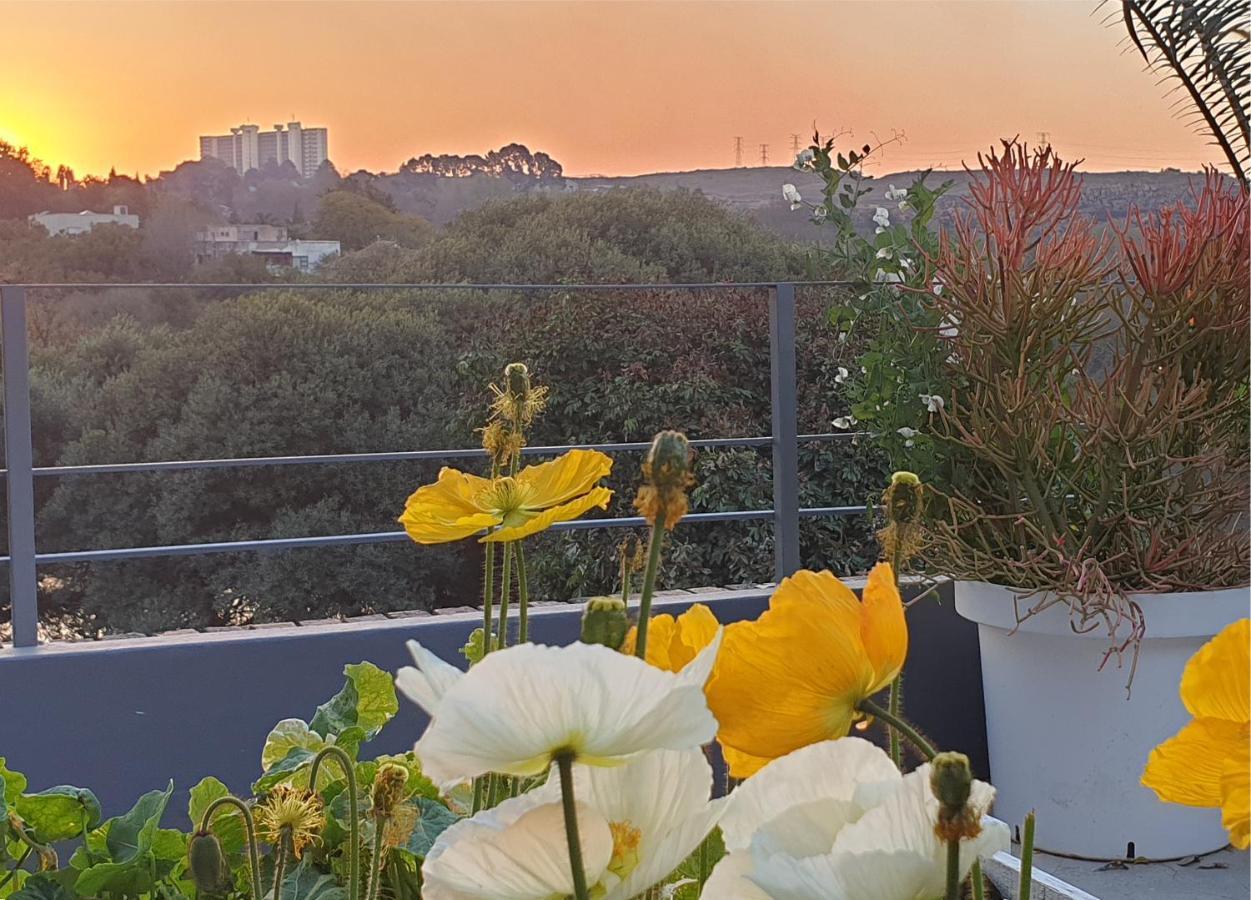 Hadeda Hall Bed & Breakfast Johannesburg