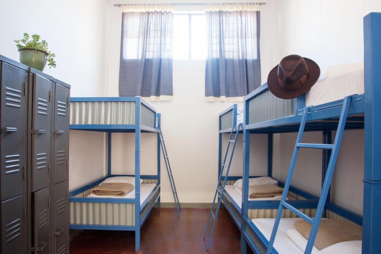 Curiocity Backpackers Albergue