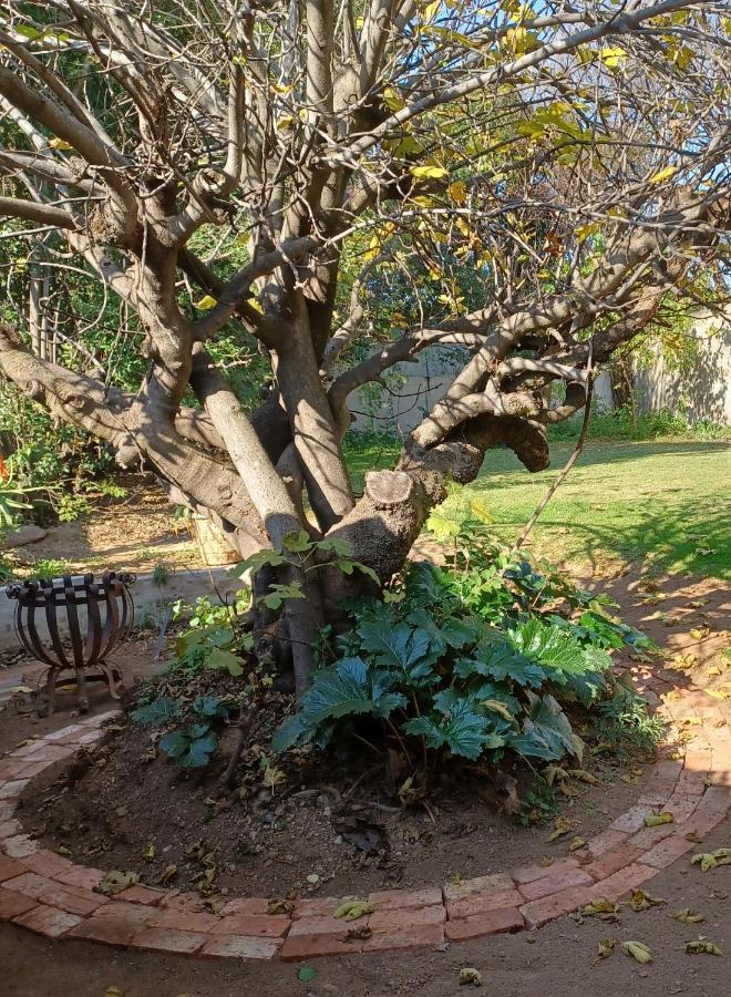 Apartment Craighall Park Stylish Garden *