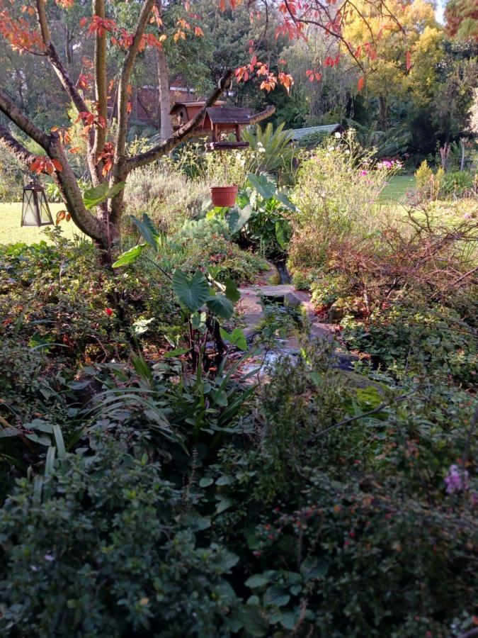 Villa54, Sandton Bed & Breakfast Johannesburg