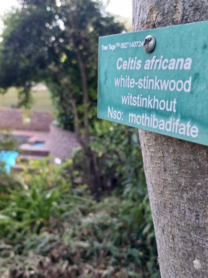 Villa54, Sandton Johannesburg