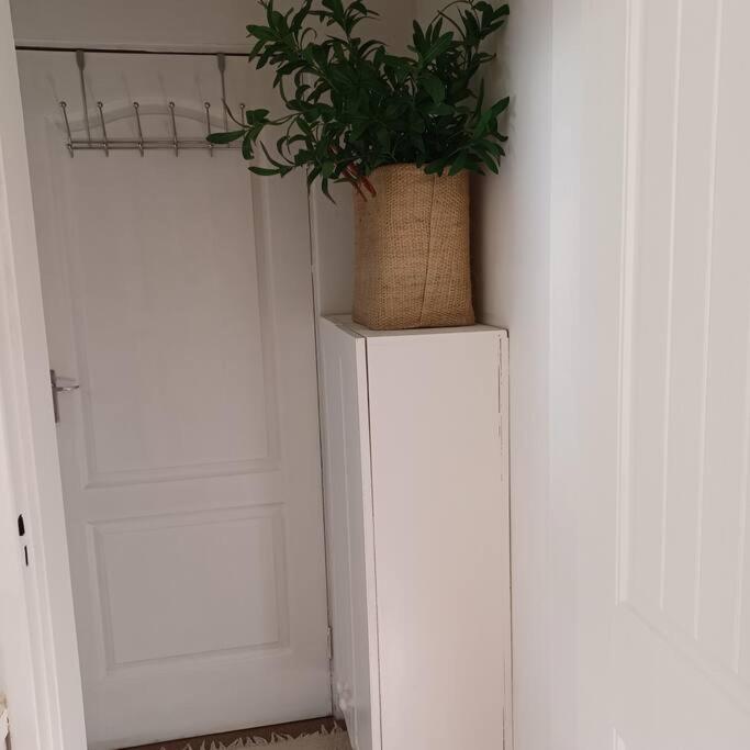 Craighall Park Comfortable Own Entrance Eateries Close Căn hộ Johannesburg
