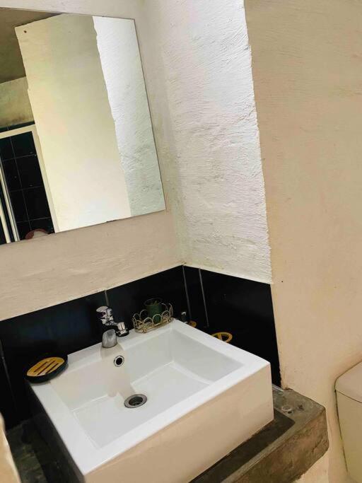 Serenity Haven In Apartamento