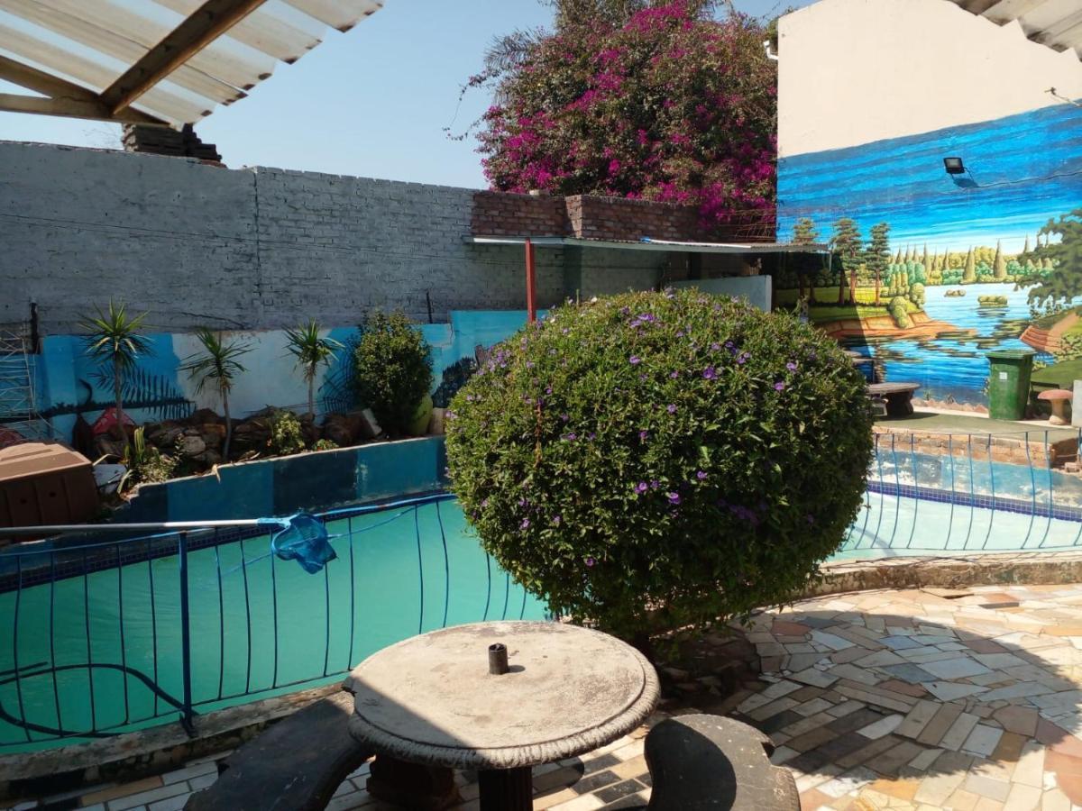 Hostel Bonga's Backpackers