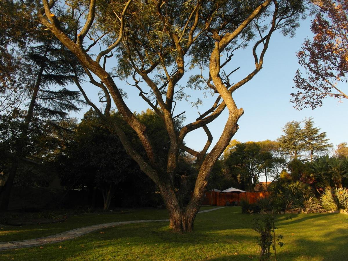 Guest house Silverstone