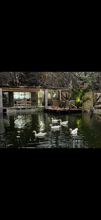 Sandton Safari Camp Johannesburg