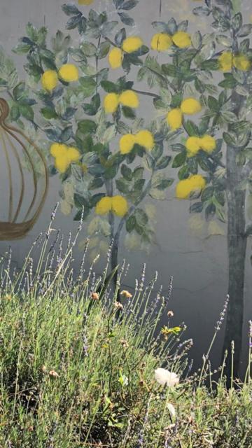 The Lemon Tree Self- Catering Joanesburgo