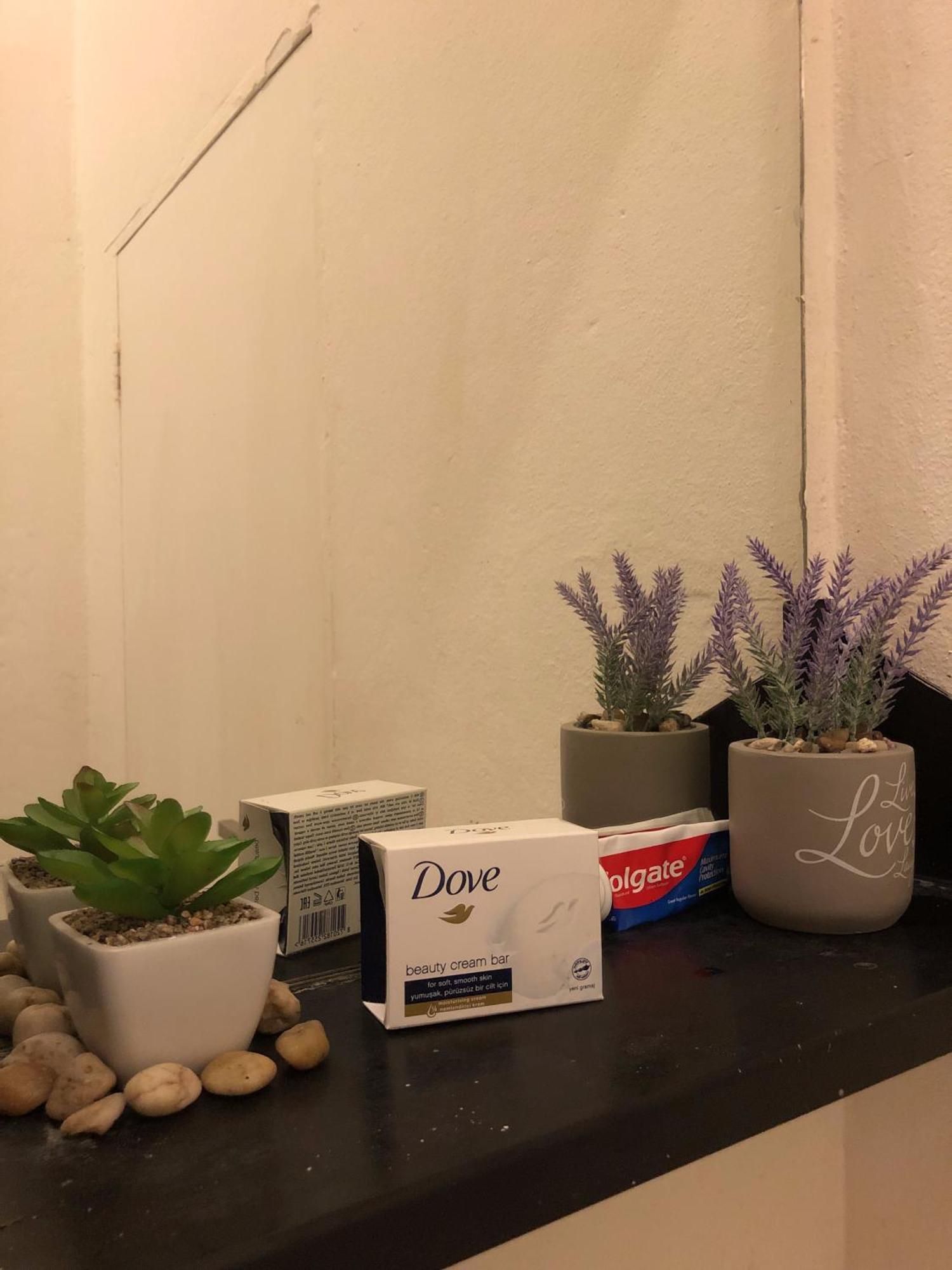 Sun's Spacious Apartment *