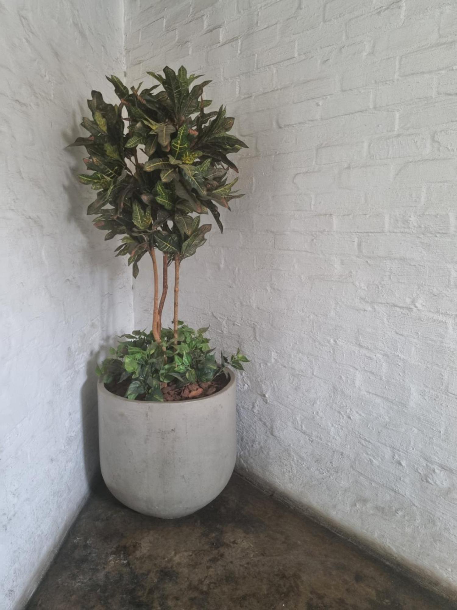Guest house Dimpho House In Vibey Maboneng Precinct Johannesburg