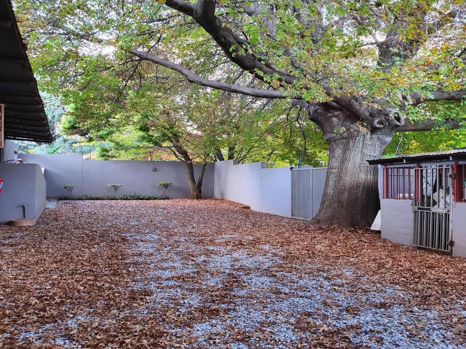 7th Street Guest house 4*