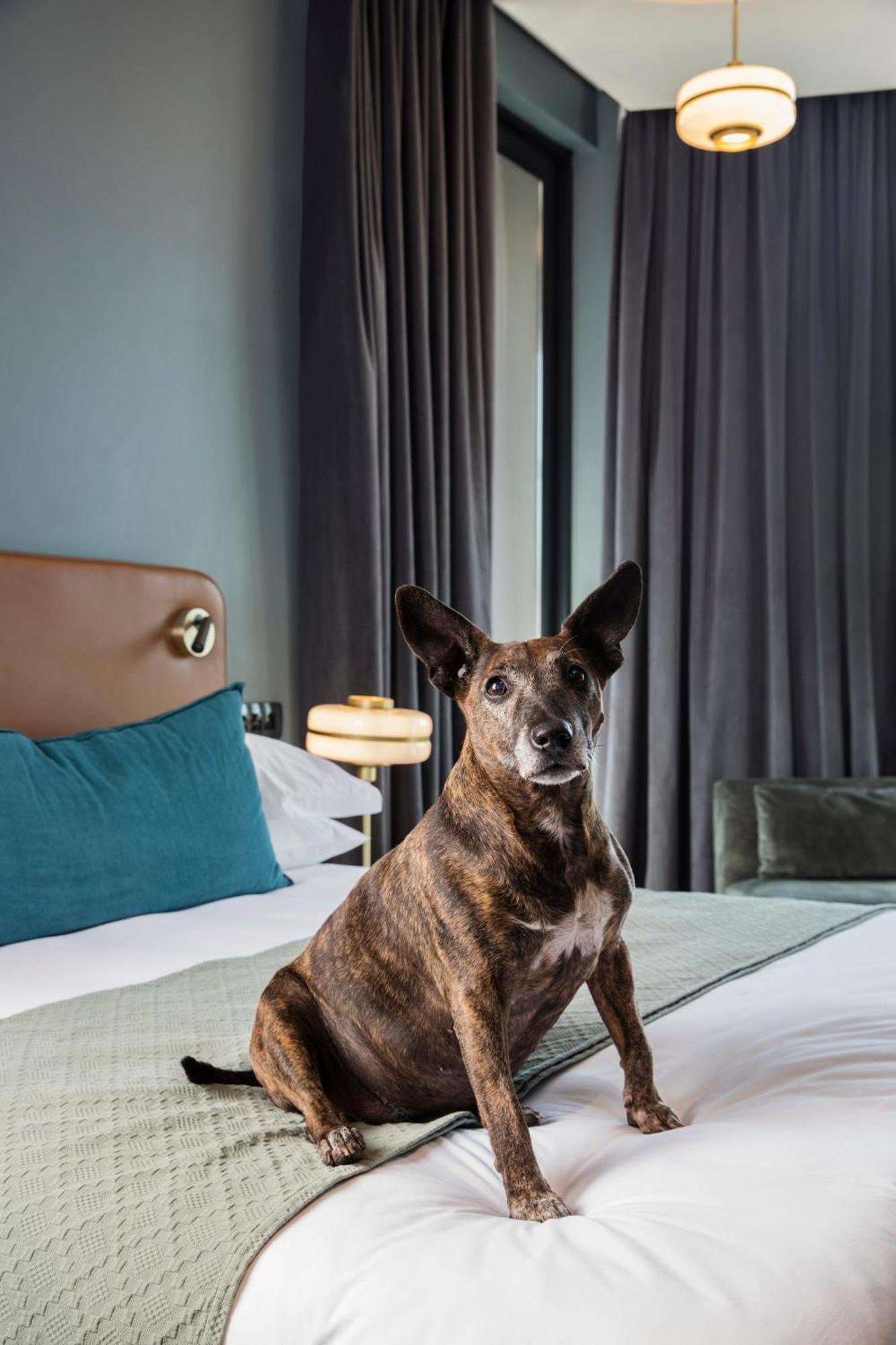 Hotel Rosebank Johannesburg