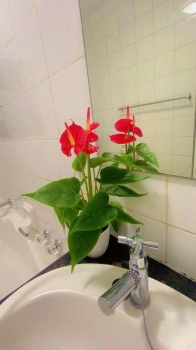 Feelslikehome Sandton Apartment Johannesburg