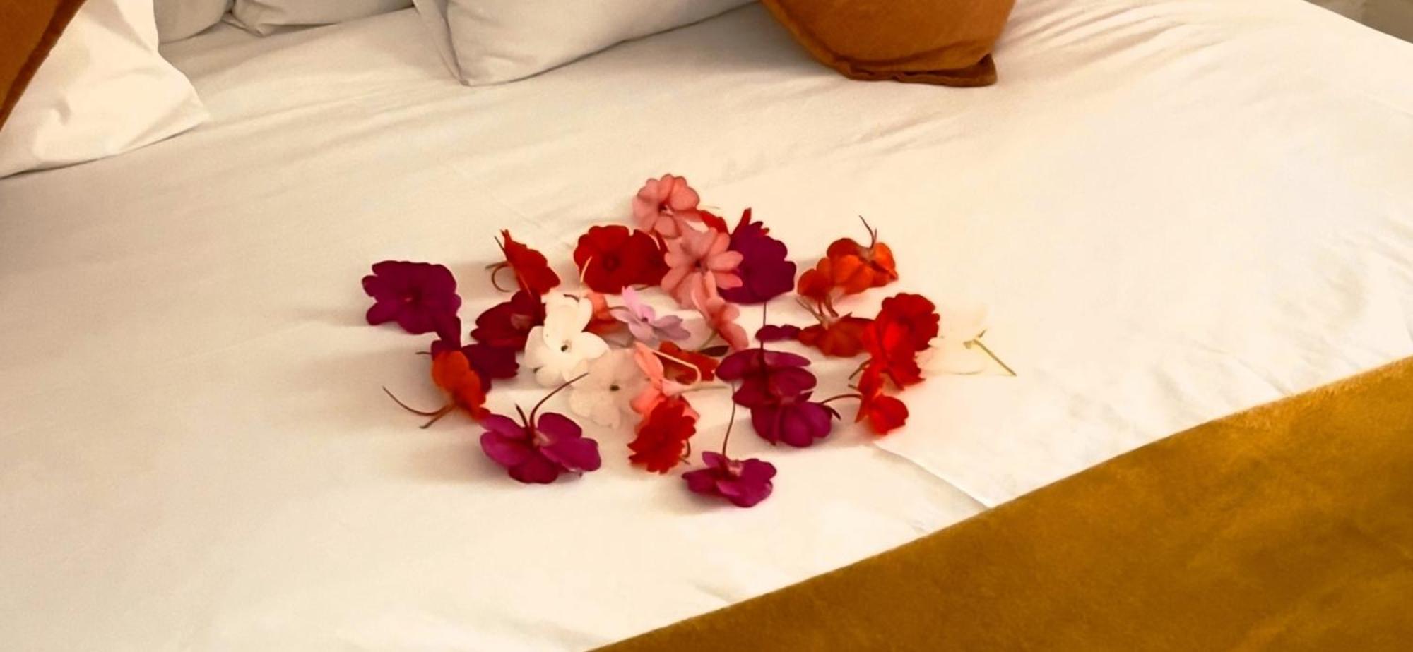 27a On Angus Guest house Johannesburg