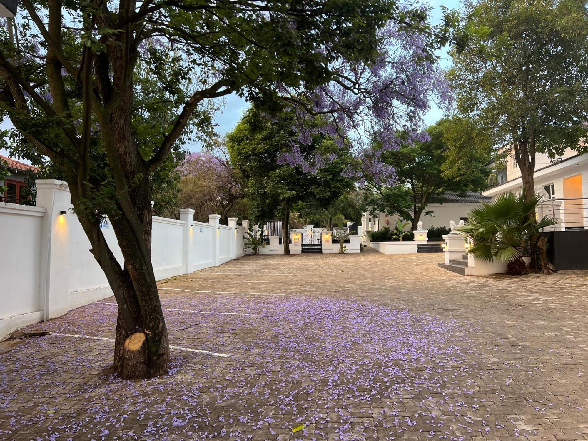 Khách sạn hẻo lánh 435 On Vale Boutique Johannesburg