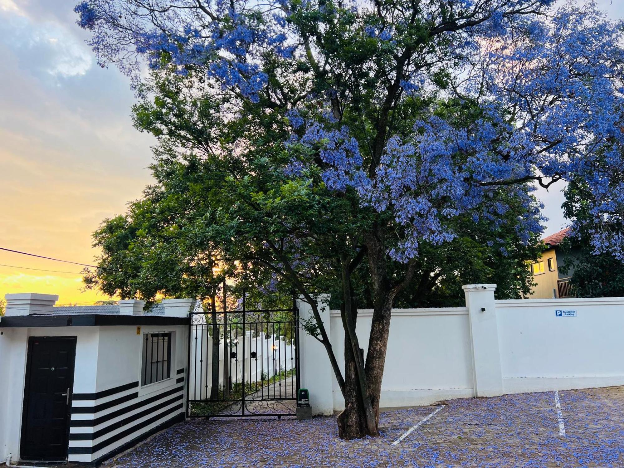 435 On Vale Boutique Johannesburg