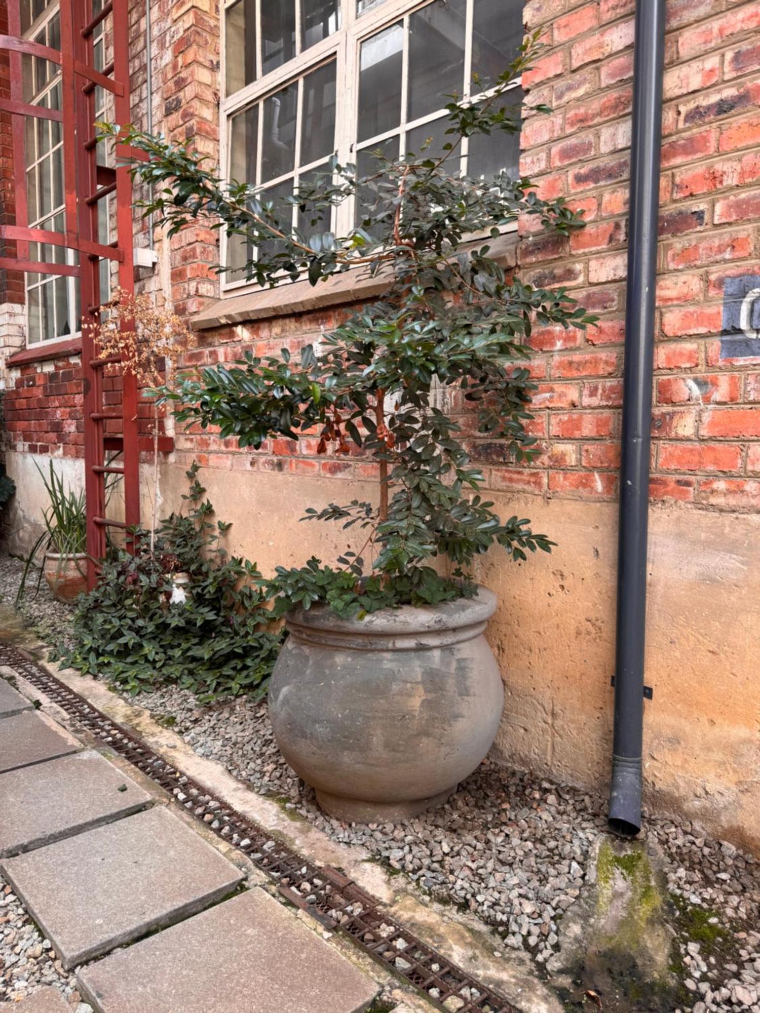 Uptown Oasis 2 Bedrooms , 2 Bathrooms In Maboneng With Unlimited Wifi Apartment *