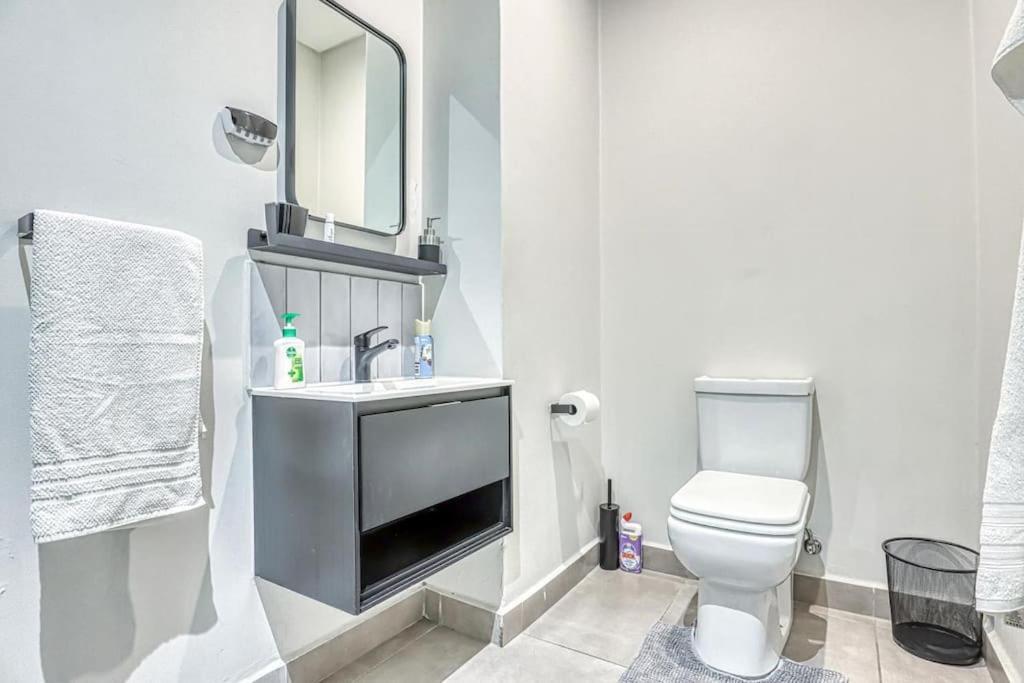 Apartment Sandton At Black Brick