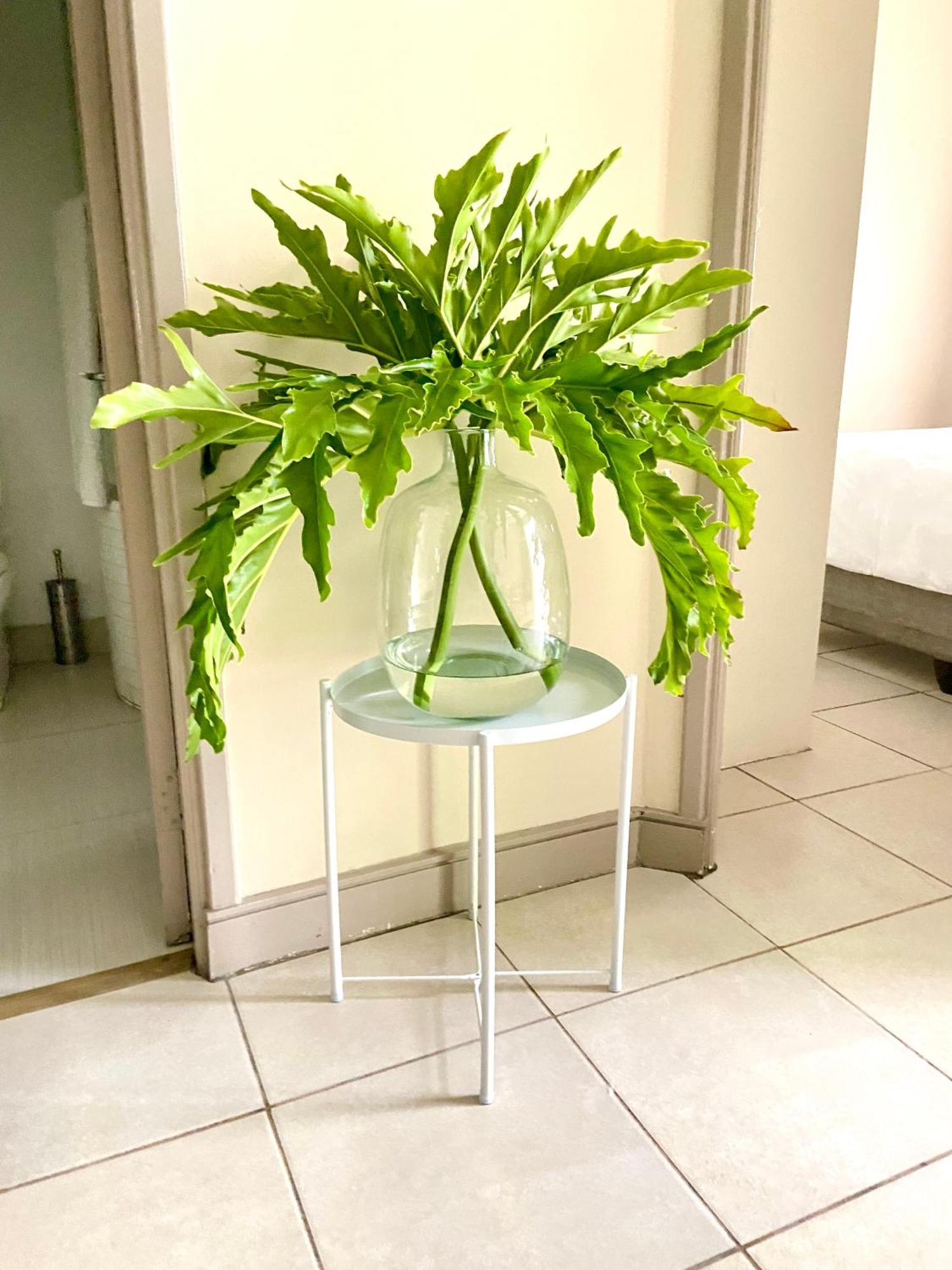 Apartment Bb Hers Greenleaf *