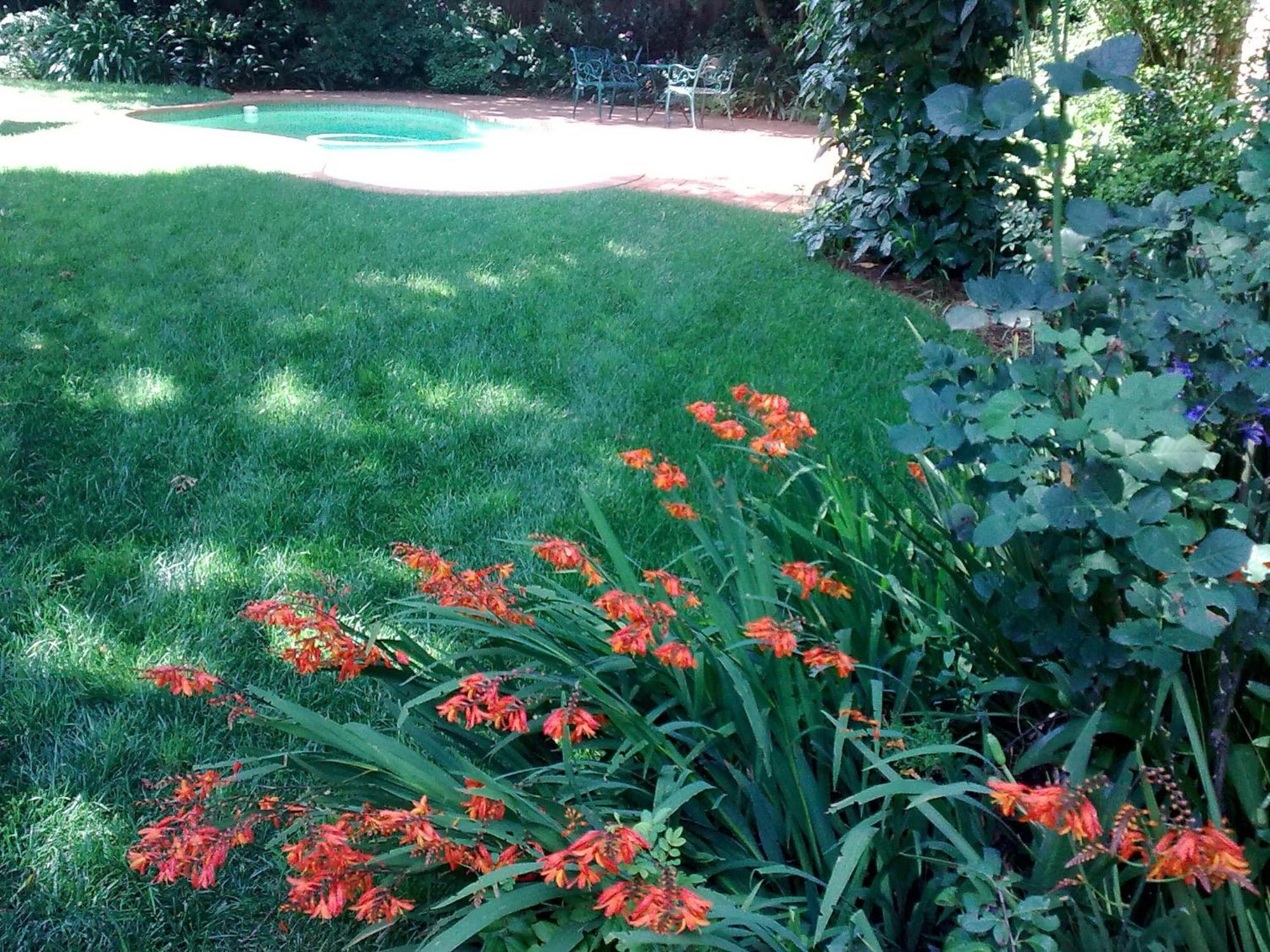 Guest house Rosebank By Claires 2*