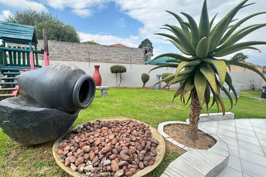 Nyasa Johannesburg