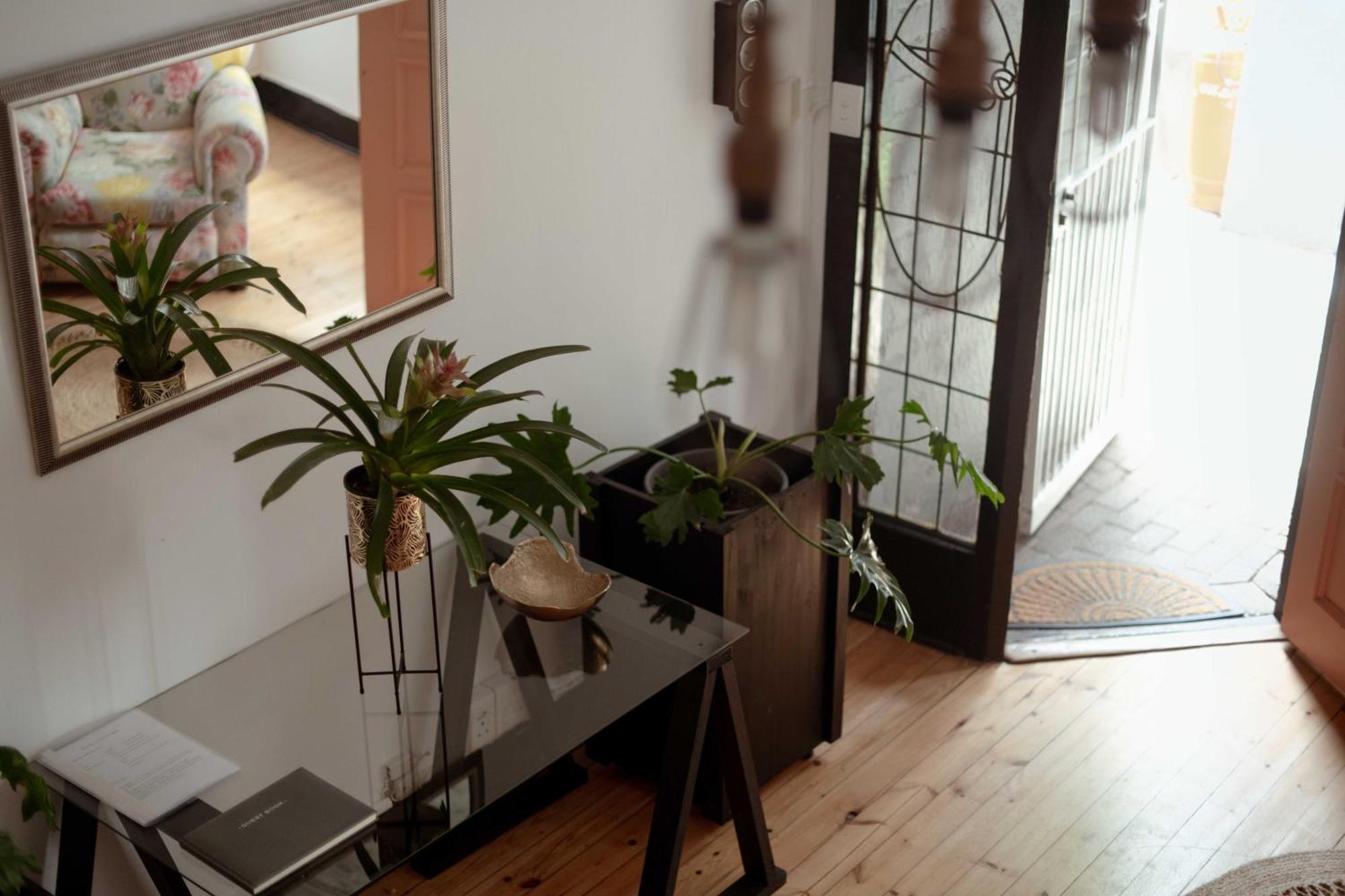 Hibiscus House Guest house *