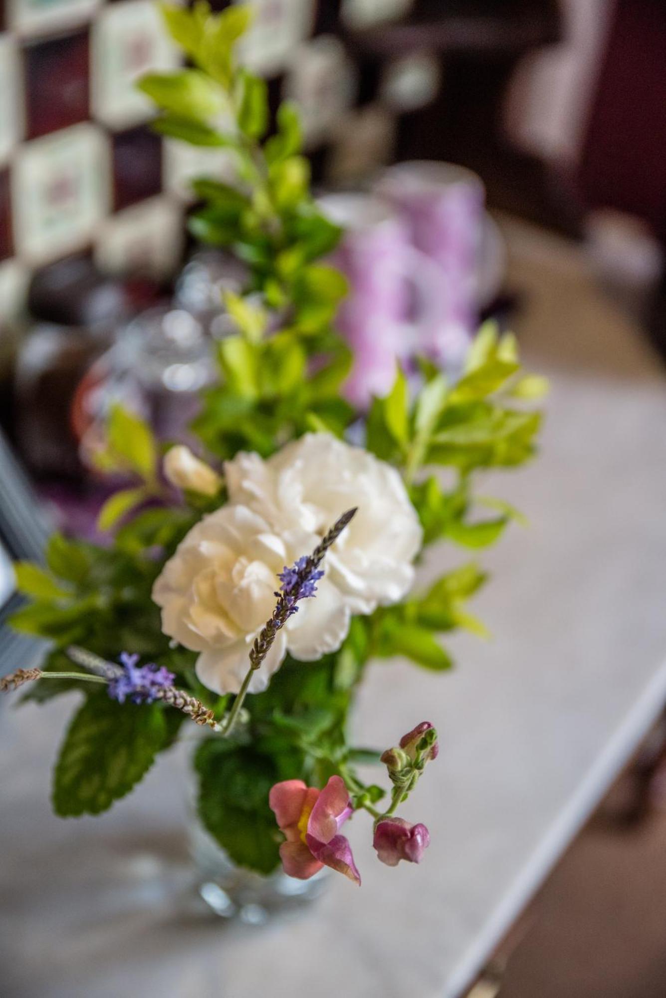 Guest house 5th Avenue Gooseberry