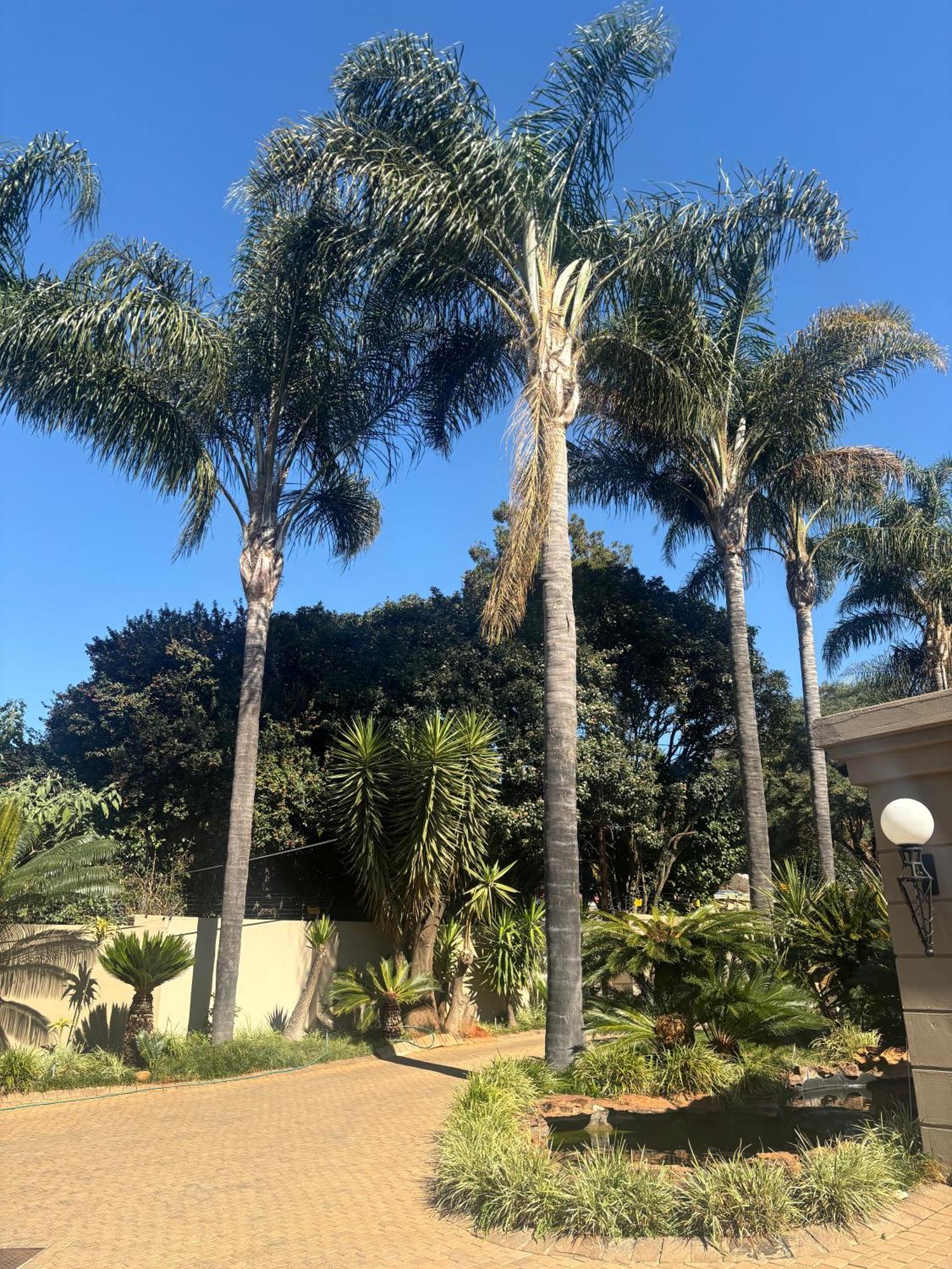Guest house Bedfordview - Hethersett Johannesburg