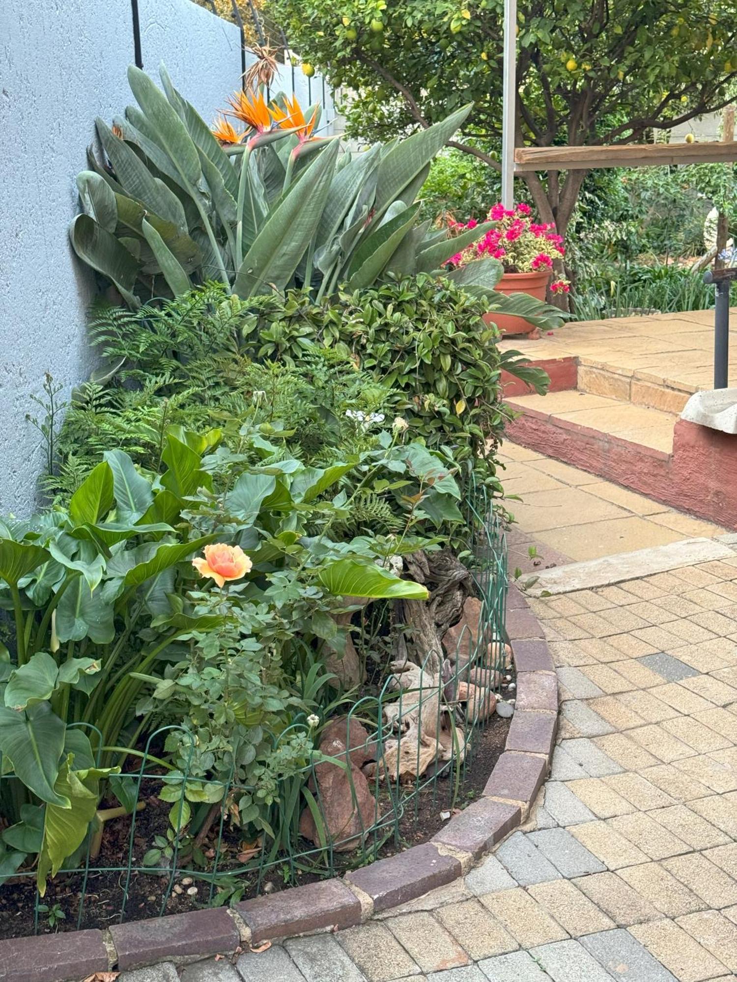 Tranquil Retreat - Malanshof Randburg Holiday home *
