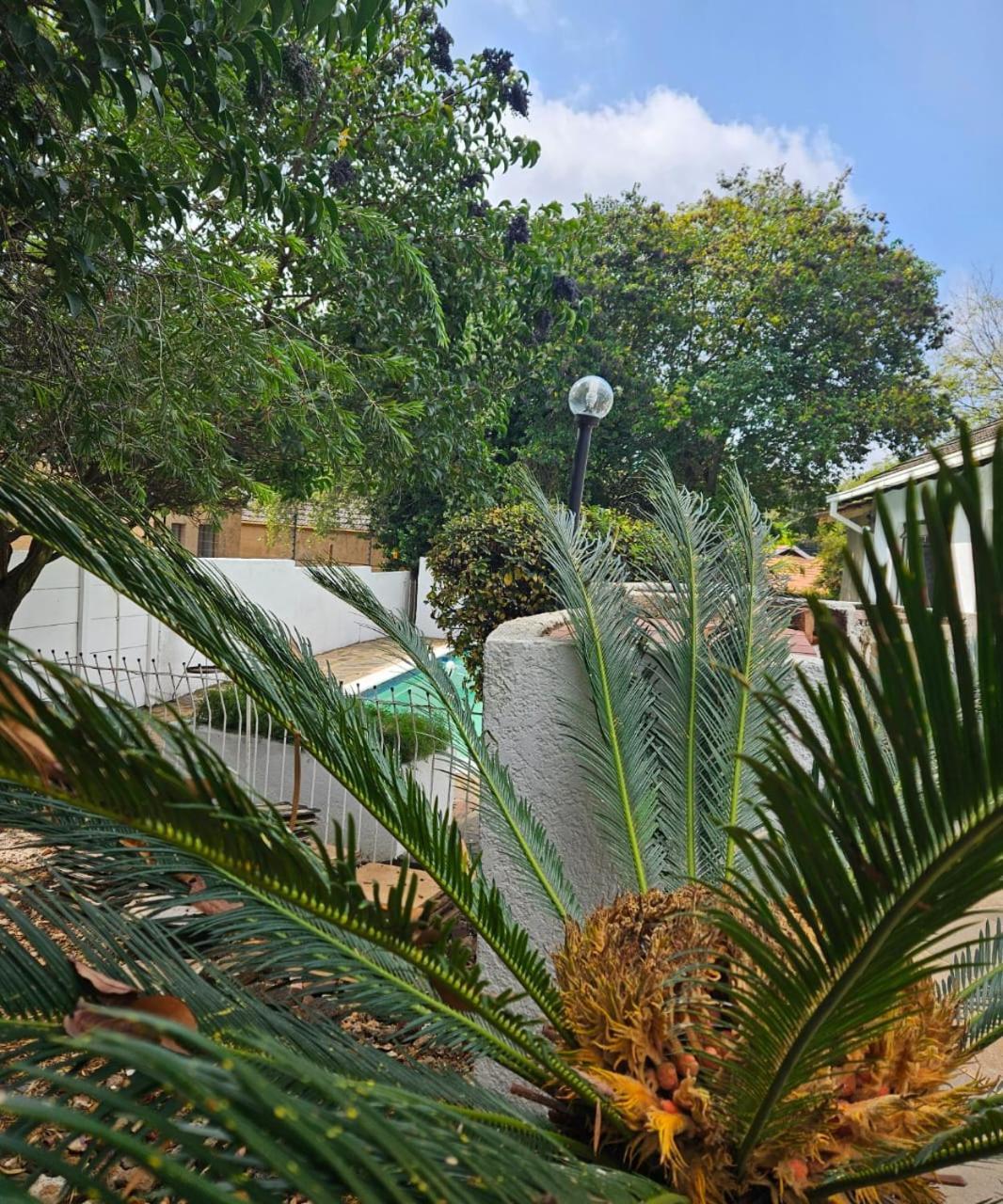 Bed & Breakfast The Royal Princess On Malibongwe Drive *