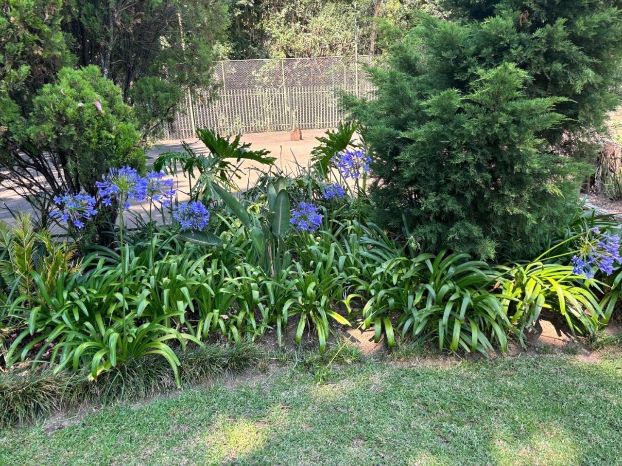 Shrubly 1 - Peaceful, Stylish In Sandton-backup Power Apartment *