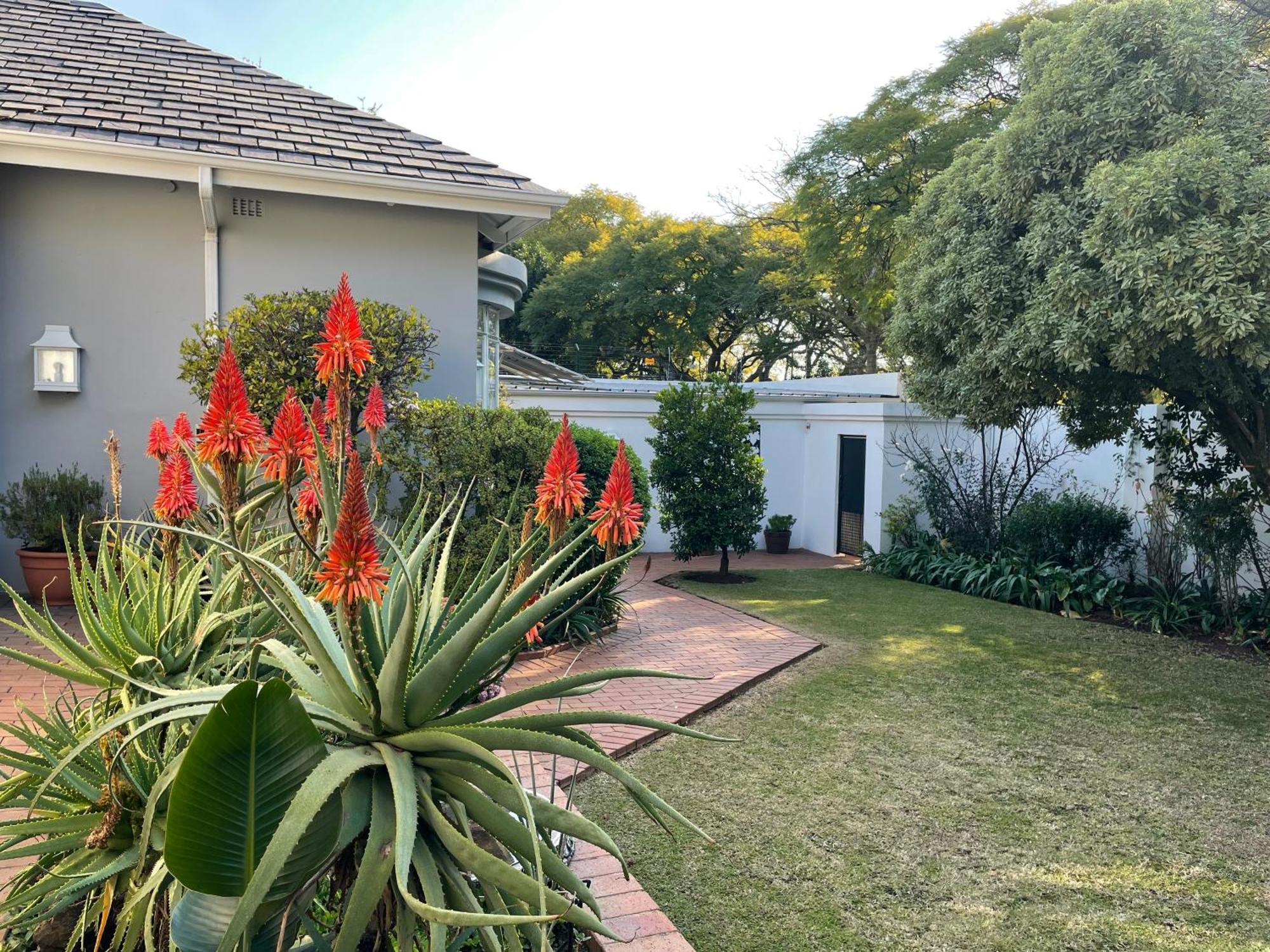 Of Synergy Guest house